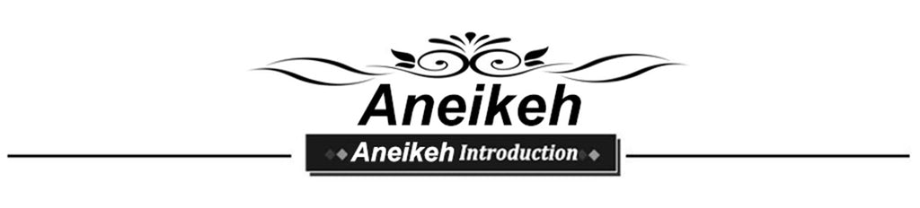 Aneikeh 2025 Sexy High Heel Women Shoes Open Toe PU Solid Ankle Buckle Strap Platform Sandals Ladies Nightclub Party Dress Pumps